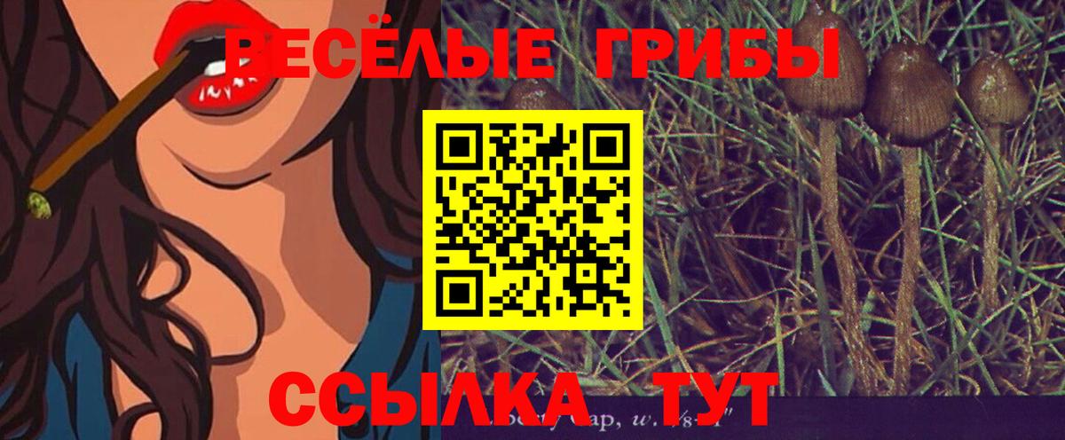 Псилоцибиновые грибы MAGIC MUSHROOMS  Дубна 