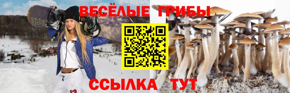 Псилоцибиновые грибы Magic Shrooms Дубна
