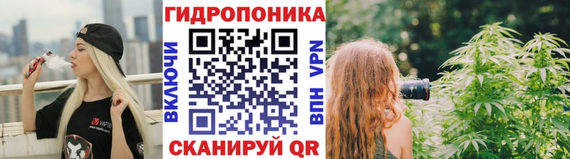 Конопля гибрид Дубна
